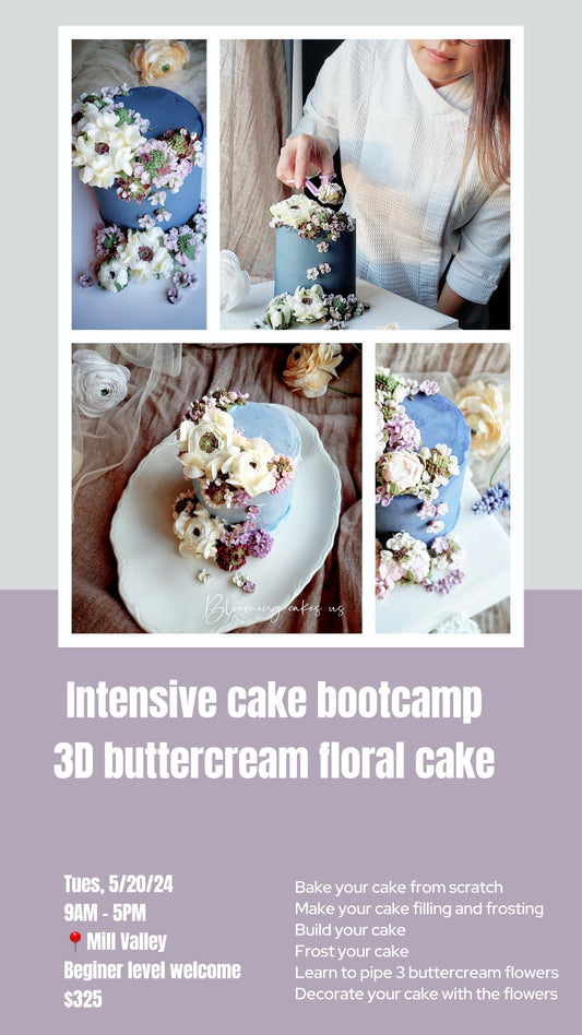 11/2 Private class - 3D Buttercream Flower Minicake